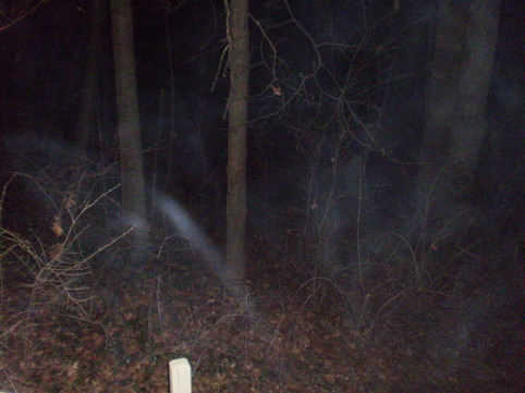 Image result for ghost in woods