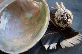 Smudging tools, Abalone Shell, Sage & Feather